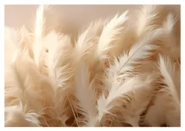 fototapeta-piora-boho-do-sypialni-salonu-tapeta-na-flizelinie-254x184