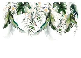 fototapeta-liscie-monstera-palmy-zielone-natura-wiszace-tapeta-368x254