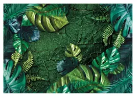 fototapeta-dzungla-liscie-monstera-rosliny-312x219