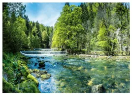fototapeta-wodospad-3d-las-natura-krajobraz-salon-tapeta-na-sciane-200x140