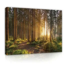 obraz-las-natura-xxl-plotno-do-salonu-sypialni-lazienki-nowoczesny-100x70