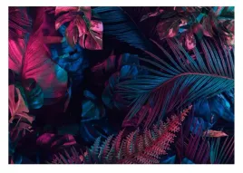 fototapeta-mroczna-dzungla-liscie-monstera-254x184