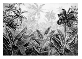 fototapeta-czarno-biala-dzungla-amazonia-rosliny-tapeta-scienna-368x254