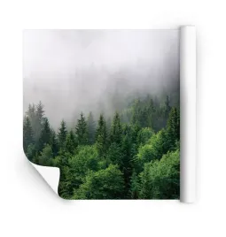 fototapeta-na-wymiar-3d-do-salonu-sypialni-tapety-na-sciane-flizelina-klej