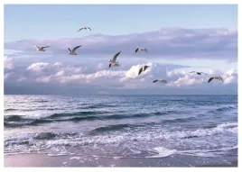 fototapeta-morze-plaza-niebo-ocean-salon-416x254