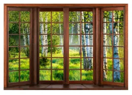 fototapeta-widok-z-okna-3d-las-brzozowy-natura-widok-krajobraz-368x254