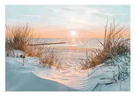 fototapeta-morze-baltyckie-plaza-na-flizelinie-sciane-natura-ocean-416x254