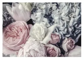 fototapeta-do-sypialni-kwiaty-peonie-roze-416x254