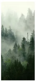 fototapeta-na-drzwi-las-we-mgle-samoprzylepna-okleina-naklejka-tapeta