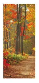 fototapeta-samoprzylepna-okleina-na-drzwi-naklejka