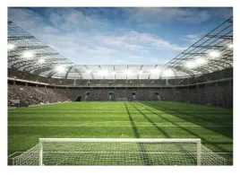 fototapeta-pilka-nozna-stadion-boisko-pilkarska-dla-chlopca-gracza-254x184