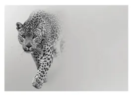 fototapeta-na-flizelinie-gepard-tygrys-jaguar-lampart-zwierzeta-254x184