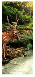 fototapeta-samoprzylepna-okleina-na-drzwi-naklejka