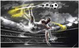 fototapeta-pilka-nozna-stadion-sport-polska312x219
