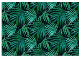 fototapeta-liscie-tropikalne-zielone-xxl-520x318