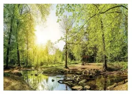fototapeta-las-drzewa-krajobraz-natura-3d-312x219