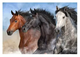 fototapeta-konie-zwierzeta-z-koniem-do-sypialni-salonu-tapeta-368x254