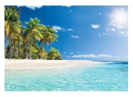 fototapeta-plaza-morze-ocean-palmy-natura-niebo-tapeta-scienna-368x254
