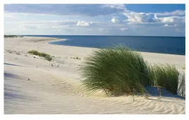 fototapeta-plaza-morze-wydmy-trawa-ocean-254x184