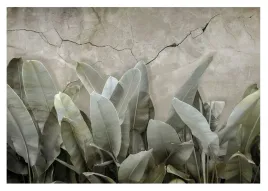 fototapeta-liscie-bananowca-zielone-na-betonie-tapeta-do-sypialni-368x254