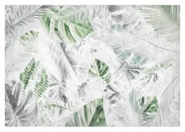 fototapeta-liscie-monstera-nowoczesna-520x318