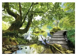 fototapeta-na-flizelinie-scienna-drzewo-natura-krajobraz-widok-312x219