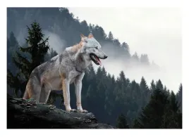 fototapeta-wilk-las-we-mgle-3d-gory-natura-312x219
