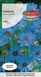 nasiona-kupidynek-niebieski-03g-torseed