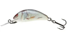 wobler-salmo-h3f-hornet-35cm-floating-real-dace