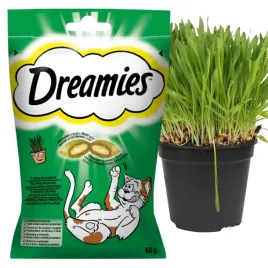 mars-dreamies-kocimietka-60g-6