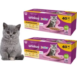 zestaw-dla-kociaka-mars-whis-85gx80-sasz-junior-drob-gal-pakiet-dla-kociat