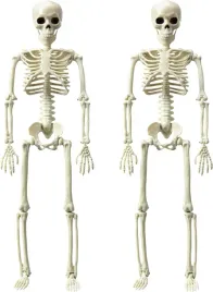 2x-szkielet-na-halloween-ozdoby-dekoracje-40-cm