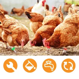 znaczniki-obraczki-klipsy-klamry-dla-kur-kaczek-gesi-ptakow-16mm-60gram