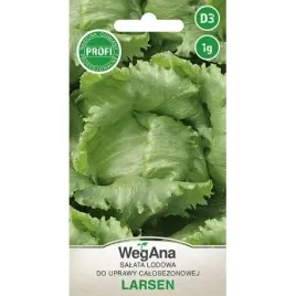 salata-larsen-nasiona-1-g-wegana