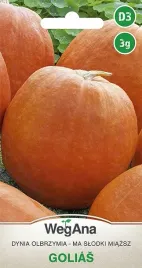 dynia-olbrzymia-golias-3g-wegana