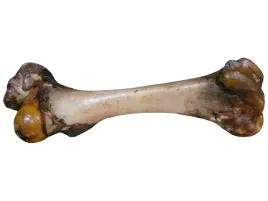 pako-kosc-wolowa-gigantyczna-ogromna-dla-duzych-psow-owczarek-mastiff