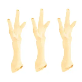 pako-przysmak-dla-psa-naturalny-treserek-nagroda-kurza-lapa-biala-3-sztuki