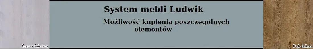 nadstawka-na-komode-witryna-system-mebli-salon