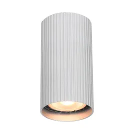 lampa-sufitowa-punktowa-srebrna-okragla-tuba-10-cm-w-prazki-spot-italux