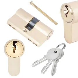 wkladka-drzwiowa-aandb-mosiadz-45-45wkladka-bebenkowa-do-zamka-3klucze