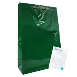 torebki-papierowe-laminowane-zielone-na-prezent-17x7x25cm-pakiet-100-szt