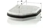 mann-cuk-2897