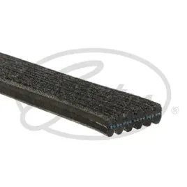 gates-6dpk1195-pasek-wielorowkowy