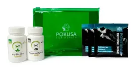pokusa-psia-apteczka-no-stress-na-wyjazd-z-psem