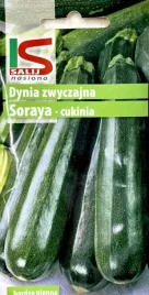 cukinia-dynia-soraya-2g-salnas-nasiona-warzyw