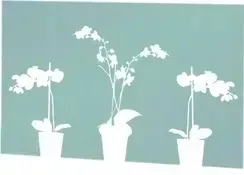 folia-okienna-samoprzylepna-300cm-wzor-orchidea-80871500