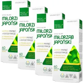 milorzab-japonski-ginkgo-biloba-demencja-lepsza-pamiec-krazenie-240-kaps