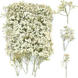 gipsowka-naturalna-suszona-100-szt-dekoracja-scrapbooking-swiece-zywica