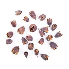 susz-egzotyczny-bakuli-ozdobny-50g-craft