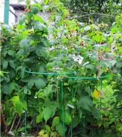 3x-podpora-metalowa-do-kwiatow-roslin-monstery-podporka-do-ogrodu-115-cm